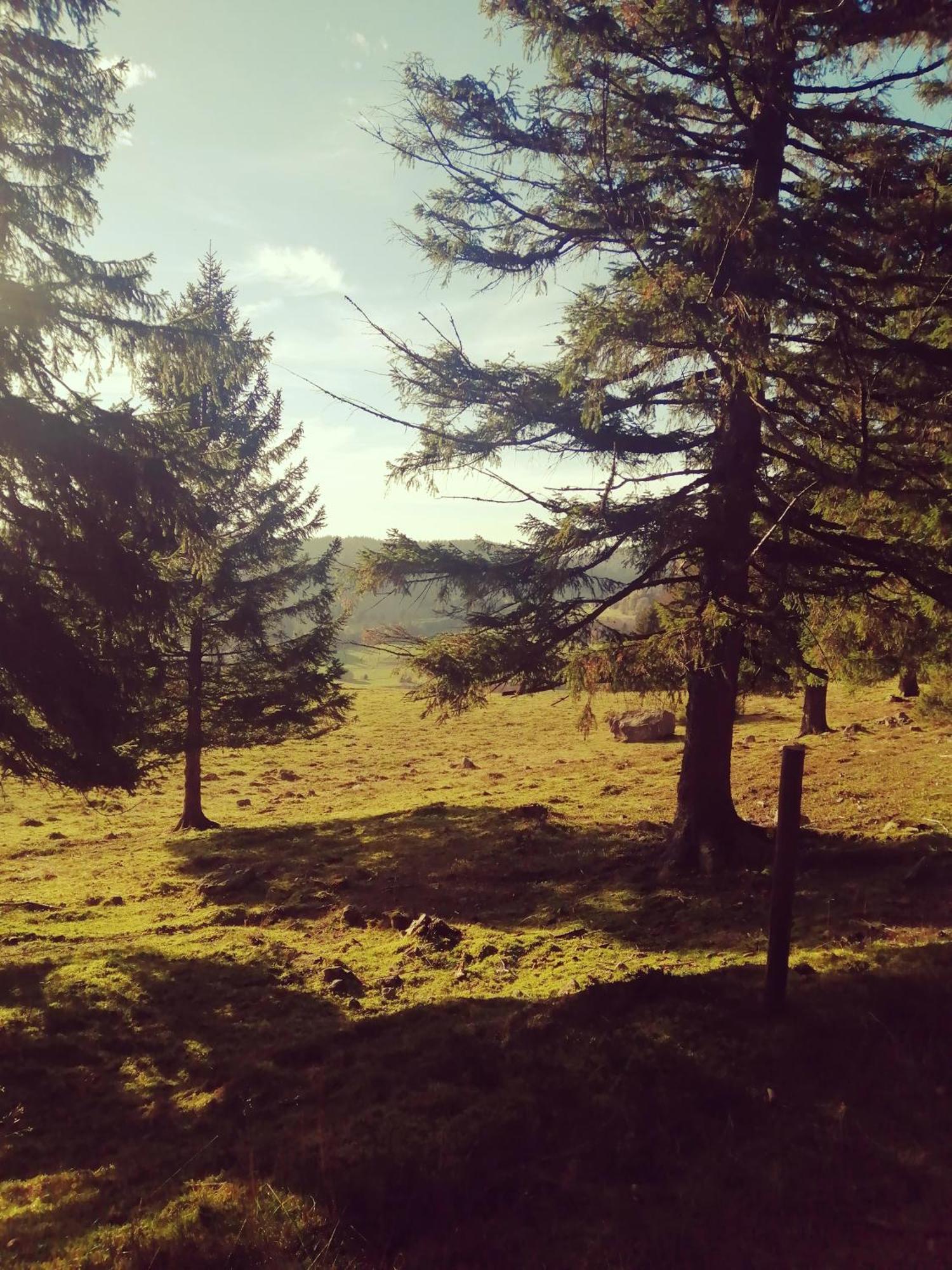 Hotel Am Kurpark Todtmoos Luaran gambar